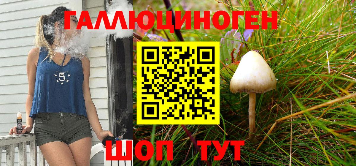 Галлюциногенные грибы GOLDEN TEACHER Азов